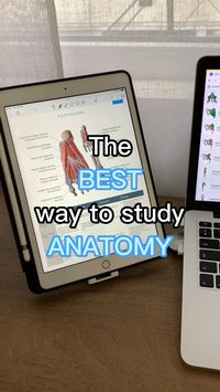  

This is how I study for my anatomy exams 🫀👩🏻⚕️

I use @kenhubcom and it is *chefs kiss* 📚 You can try Kenhub here: https://khub.me/theorganizedmedic ❤️ 

Get 10% off with the code in my profile 💸

Kenhub is an online platform that combines multiple effective tools for learning human anatomy and histology. They make studying a fun and enjoyable experience with detailed articles, colourful videos, interactive quizzes, high-quality atlas images and diagrams. 

📱Let’s be friends:
 • TikTok – @theorganizedmedic
 • Instagram – @theorganizedmedic
 • Pinterest – @theorganizedmedicchristina 

Facebook – @theorganizedmedic

📩 Want to get in touch?: christina@theorganizedmedic.com

#medschool #medicalschool #medstudent #medicalstudent #medadvice #medicaladvice #medtips #medicaltips #studyti