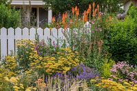 Secrets To A Successful Cottage Garden