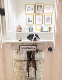 The best dog-friendly hotels with posh amenities for pets