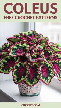 Find free crochet patterns for coleus plants to enhance your indoor garden. Great for crafting a decorative and evergreen plant