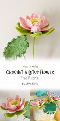 In this free tutorial, we’ll delve into the beauty art of crafting a mesmerizing lotus flower using crochet techniques. Whether you’re a novice or an experienced crocheter, Lily’s Lyric’s video tutorial will guide you through each step with precision and clarity.