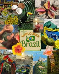 brazil board #brazil #brazilaesthetic #traveling #voyage #summervibes #journey #aesteticvibes