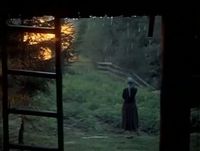 The Mirror Andrei Tarkovsky