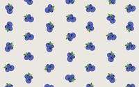 blueberry wallpaper for pc/macbook 2560x1600