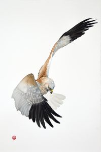 Karl Martens Born 1956 MARSH HARRIER (Unframed), 2022 Artist's monogram lower left and signed Karl Martens Watercolour 56 1/2 x 38 1/2 in 144 x 97 cm