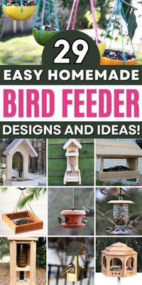 Make a bird feeder that will bring feathered friends to your garden.