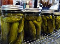 Sweet Gherkin Pickles Canning Recipe (takes multiple days)