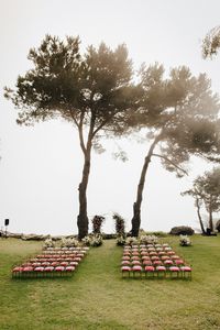 Pink Wedding in Big Sur | DIY Big Sur Wedding | 100 Layer Cake