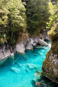 The Blue Pools | Queenstown, New Zealand /