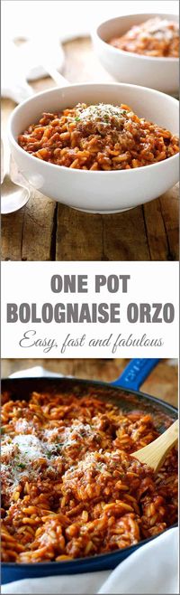 One Pot Bolognaise Orzo (Risoni) - dinner on the table in 20 minutes, from scratch, all made in one pot.