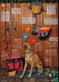 If you are the sort of person who loves hiking or camping with your dog, this gear guide may be something you find helpful! Includes Kurgo's collapsa bowl!