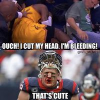 Funny Memes 2016 NFL