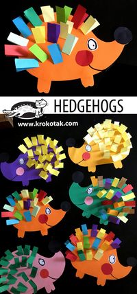 krokotak | Hedgehogs