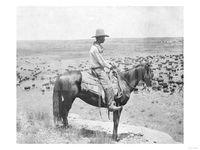 Cowboy on Horseback Watches His Herd Photograph - Texas Art Print by Lantern Press at Art.com