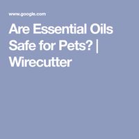 Are Essential Oils Safe for Pets? | Wirecutter