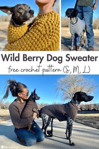 The Wild Berry Pullover is a free pattern for adults and this Wild Berry Dog Sweater is a free pattern for dogs. Let's make matching sweaters!