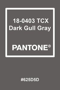 Pantone Dark Gull Gray