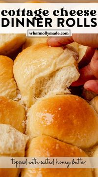 You only need 7 ingredients to make these ultra soft cottage cheese dinner rolls. They have cottage cheese blended into the dough for extra tenderness and you top them with rich honey butter right out of the oven. Follow my simple steps if you're new to baking bread and enjoy these homemade dinner rolls for a cozy family dinner or holiday side.