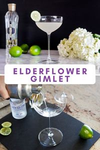 Vodka Elderflower Gimlet Recipe - Very Obsessed