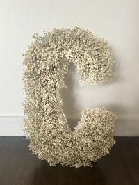 Elegant Dried Baby's Breath Letter Add a touch of timeless beauty to your home or special event with this stunning, 16-inch letter crafted from real, dried baby's breath flowers. Each letter is uniquely handmade, ensuring a one-of-a-kind piece. The delicate white blooms create a soft and ethereal look that complements any decor. Perfect for: Nurseries: A charming and personalized touch for your little one's room. Wedding Decor: A unique and romantic centerpiece for your special day. Home Decor: A beautiful and eye-catching piece for any room. Customize your order: Choose from any letter or number to create a truly personalized piece. Dimensions: 16 inches tall Material: Real, dried baby's breath flowers Care: Handle with care and avoid direct sunlight to preserve the blooms.