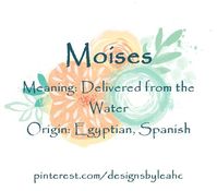 Baby Boy Name: Moises. Meaning: Delivered from the Water. Origin: Egyptian, Spanish.