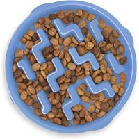 OUTWARD HOUND Fun Feeder Slow Feeder Dog Bowl, Blue, 4-cup - Chewy.com