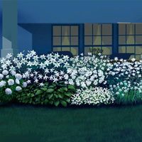 Fragrant Moonlight Garden Collection | Breck's