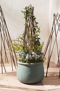 Woven from natural willow, we love this elegant, flared obelisk when paired with climbing vines or string lights. Able to be twisted up for easy storage and slight size adjustments. | Woven Willow Cone Obelisk by Terrain in Beige, Size: 71 in at Anthropologie