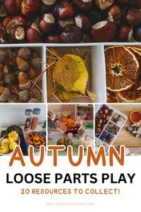 Autumn loose parts play honestly couldn’t be simpler. You don’t need to go far outside your own front door to find a treasure trove of natural collectables that you can use in play during the Autumn season. Read on for 20 items that you can collect during Fall.