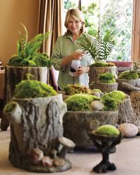 Moss gardens- Moss gardens are simple to construct. Put a layer of crushed stone or gravel in the bottom of a vessel for drainage. (Wide, shallow containers look best.) Top that with a layer of potting soil, and then add moss, stones, and plants in any arrangement that strikes your fancy.