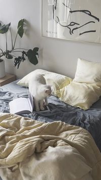 Say goodbye to restless nights and hello to ultimate comfort with Eucalypso's sustainable Tencel sheets. Our bedding is meticulously designed to provide a cool, breathable, and hypoallergenic sleep environment. Made from 100% organic eucalyptus fibers, our sheets are as kind to your skin as they are to the planet. Treat yourself to the softest, most eco-friendly bedding and elevate your sleep quality. Shop now and sleep better! 🌸 #EcoLuxury #HypoallergenicBedding #SleepWell