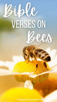 In this article, we will explore some interesting Bible verses about bees, wasps, and hornets. So, grab your Bible, and let's get started... This past week we have been exploring bees in God's Word. And