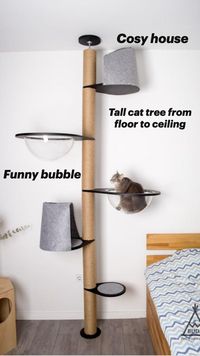 Difficulty: Easy

 

Premium high-quality furniture for cats. Luxury cat tree from floor to ceiling into a spacer. 2 years warranty!!! Without drilling walls. > Fast and easy installation. You can install the cat tree tower anywhere in the house.

> Replaceable columns. Large top shelf for sleeping. Smaller shelves - steps. But the cat can also lie on the steps. Shelf holds 20+ kg / 44+ lbs

> 360` rotatable columns and shelves. Cat bed on the top shelf as an option.

> 16 different combinations. 4 colours: white, black, natural and dark walnut.

> 4 types of rope: black cotton, white cotton, sisal and jute.

> Eco-friendly premium quality materials, safe not only for your pets but also for children. We thought of everyone.

The cat tower is not attached to the floor and ceiling, it is ins