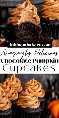 Chocolate pumpkin cupcakes are moist, super chocolatey and full of pumpkin spice flavor. They're topped with pumpkin spice cream cheese frosting for the ultimate fall treat!