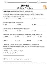 Genetics Reading Passage    Included in this download is a 4 page guided reading passage over the different aspects of genetics including dominant and recessive traits, phenotype and genotype, and homozygous traits and heterozygous traits. It also introduces where DNA is in the cell and how it forms chromosomes to fit inside of the nucleus. At the end of the passage is a two page set of questions about the reading and practice of how to identify the different traits they read about