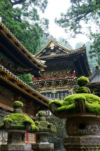 Nikko Toshogu-shrine ...the only shrine in Japan that the outside is decorated in gold. Astonishing art work all around!! and beautiful scenery and surrounding nature.