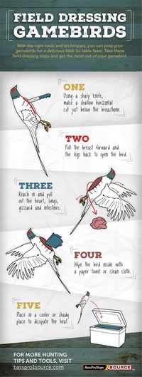 How to Field Dress Game Birds [INFOGRAPHIC] - Wide Open Spaces