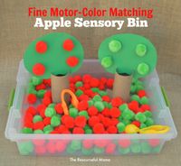 Apple sensory bin for fine motor practice and color matching. Great for preschoolers and can be switched up with words for kindergartners.