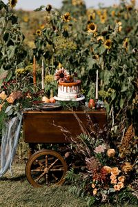 Wedding Inspiration // harvest moon // Neil Young // Alberta Wedding // fall in alberta // late summer weddings // sunflowers // harvest wedding #harvestmooninspiration #harvestwedding #vintageweddingdecor #sunset #portraits #teatrolley #cakecart