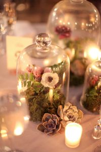 Terrariums as centerpieces. Love this idea..reminds me of a scene out of Mid Summer's Night Dream