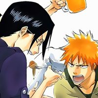 bleach matching 