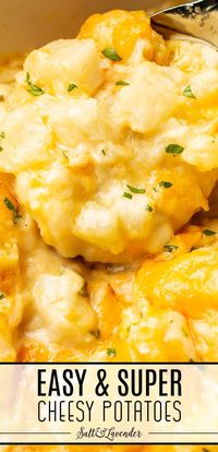 Make dinner memorable with this easy cheesy potatoes recipe! It's SO decadent and makes the best complement to any family meal or as a Thanksgiving side dish.