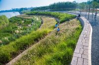 A Resilient Landscape: Yanweizhou Park in Jinhua City by Turenscape « Landscape Architecture Platform | Landezine