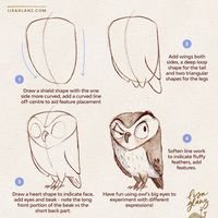 How to draw an owl 🦉 For this one I thought a three-quarter view would be more interesting than straight on, so be sure to draw your curved centre guide to keep you on track with the placement of features and limbs 😀 . Brushes used: AquaReal 2 Shadow brushes and Lisa’s Pencil / Canvas: Let’s Draw. #howtodraw #learntodraw #easydrawingtutorial #howtodrawcute #howtodrawanimals #howtodrawbirds #procreatedrawingtutorial