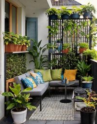 Balcony Garden with Privacy Screen