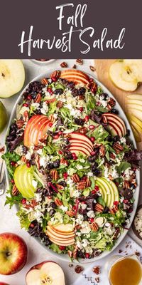 Fall harvest salad with apple cider vinaigrette is packed with fall fruits and veggies! This easy main dish salad takes about 20 minutes to put together and makes a quick weeknight dinner.