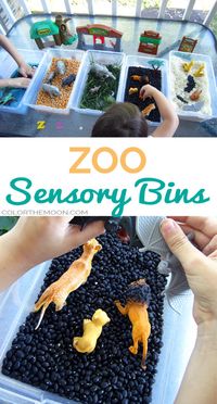 SIMPLE TO MAKE ZOO SENSORY BINS