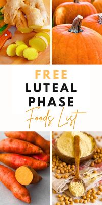 Explore the ultimate luteal phase food list with our guide to cycle syncing. Discover the best luteal phase foods to eat and get inspired by nutritious luteal phase meals. Learn how to balance your diet during this phase to support your well-being, stabilize mood swings, and manage cravings with the right foods for optimal cycle syncing.