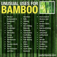 Unusual Uses for Bamboo. Bamboo is a fast growing renewable resource that I think everybody should know more about.