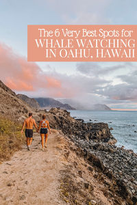 With its stunning coastlines, diverse tour options, and breathtaking vantage points, Oahu is prime humpback whale-watching territory. Whether you’re a fan of boats, prefer solid ground, or crave a bird’s-eye view, here’s everything you need to know about where to go whale watching on Oahu - The Top 6 Very Best Places To Go Whale Watching on Oahu - Travel, Travel Advice - Oahu, Hawaii - Travel Blog - Travel Advice, Whale Watching Oahu, Whale Watching Hawaii, Whale Boat Tour, Oahu Things to Do